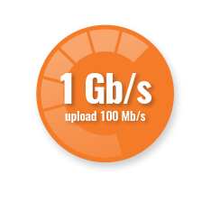 1Gb